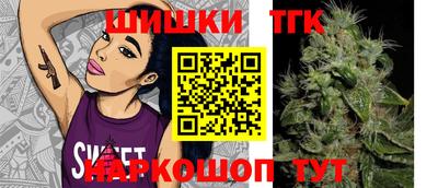 индика Анжеро-Судженск