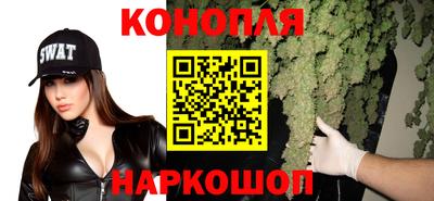 индика Анжеро-Судженск