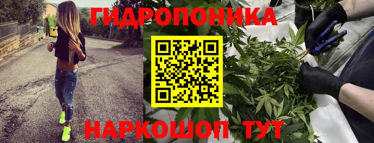 МАРИХУАНА план Гулькевичи